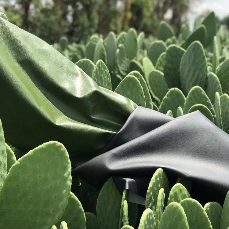 Cactus Banner